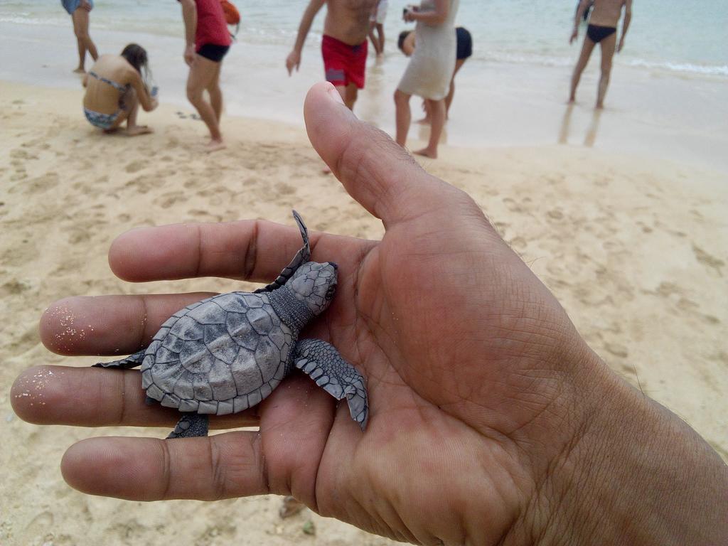 Sayuri Beach Hotel Matara Kültér fotó