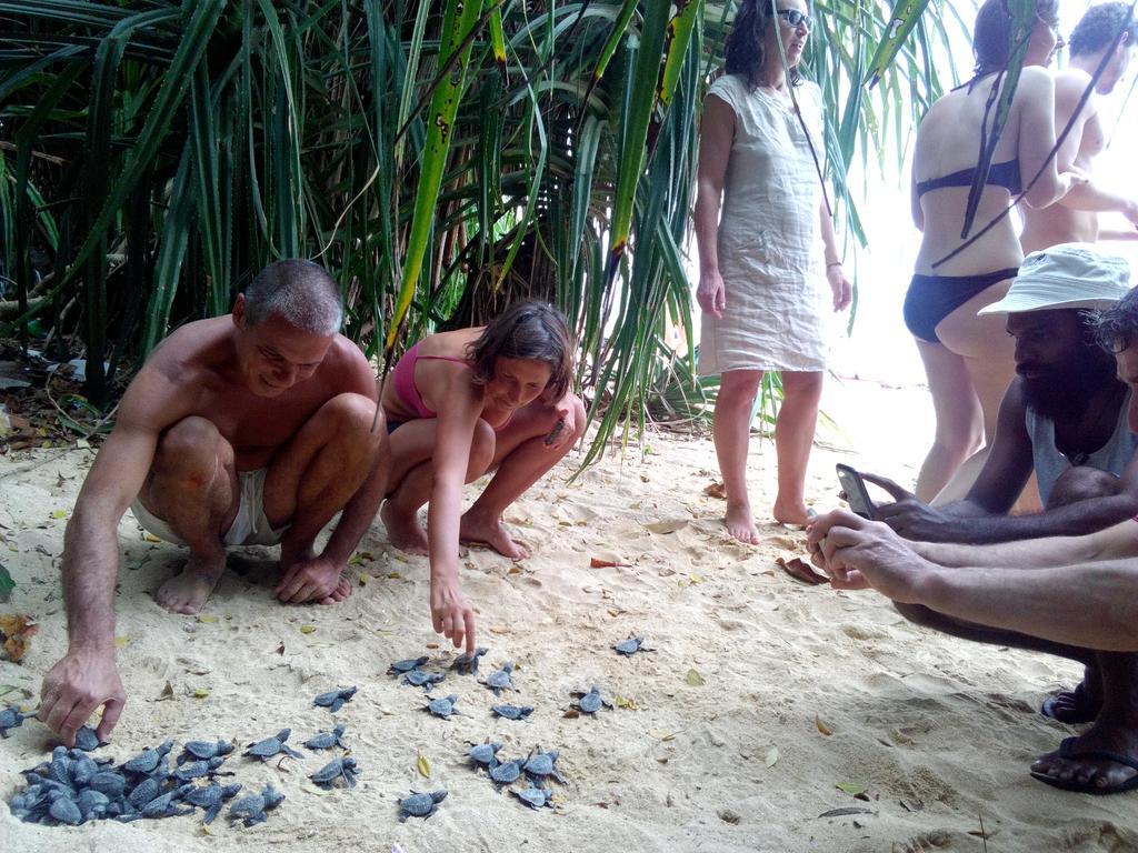 Sayuri Beach Hotel Matara Kültér fotó